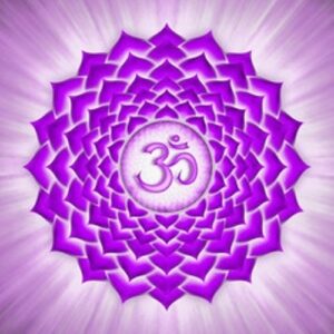 Chakra
